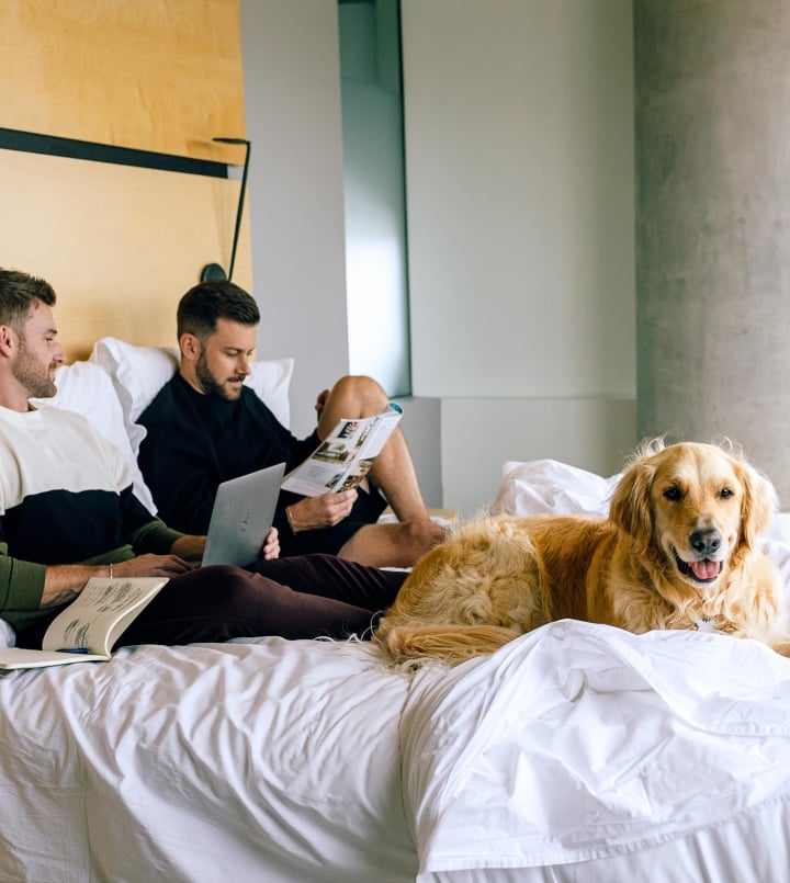 couple in bed with their pet dog
