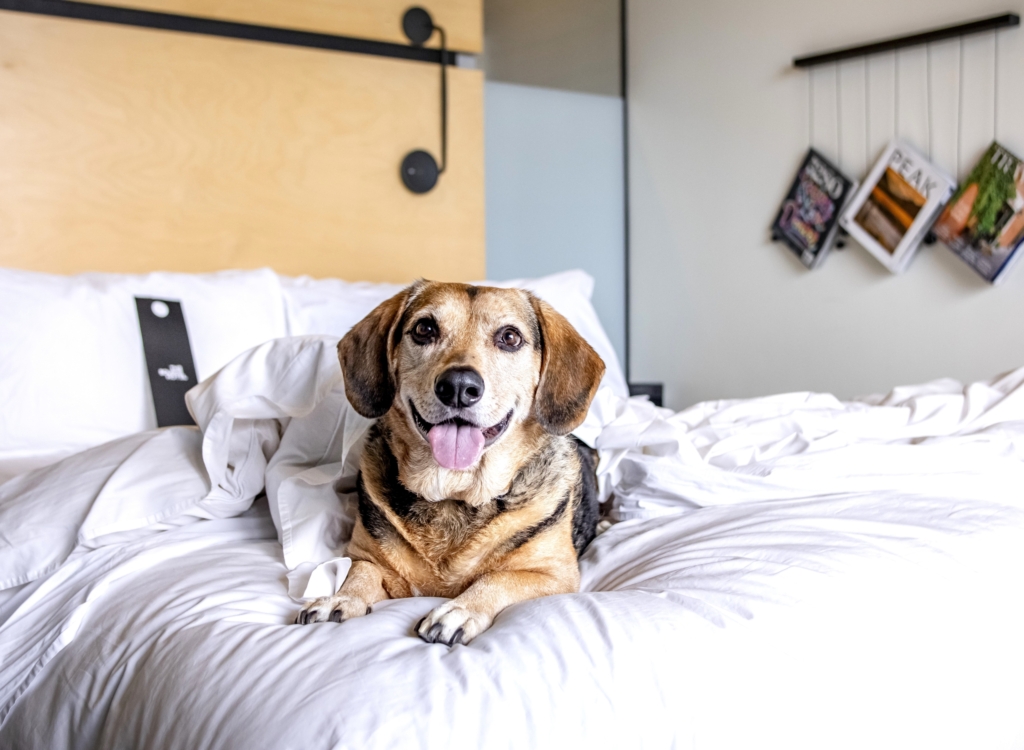Lloyd on bed
